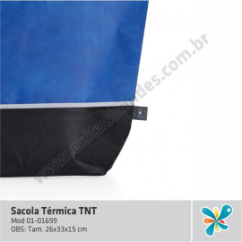 Sacola Térmica R-PET
