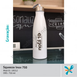 Garrafa Inox 750