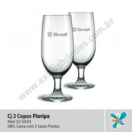 Kit 2 Copos Floripa
