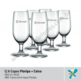 Kit 6 Copos Floripa