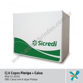 Kit 6 Copos Floripa