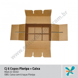 Kit 6 Copos Floripa